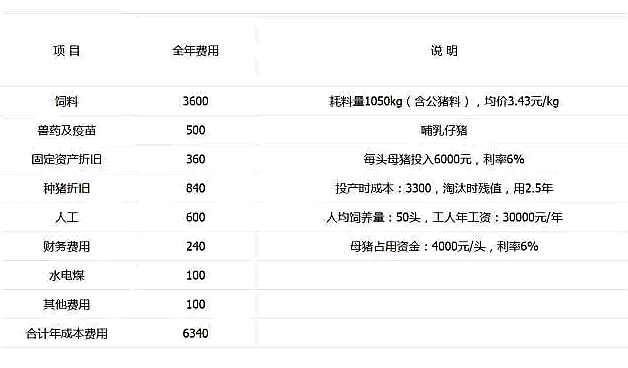 香港金龙网站